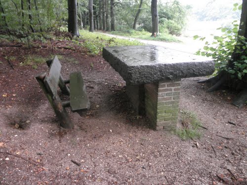 De grafzerk die aan de noordzijde van Mariëndaal dienst doet als picknick- tafel.