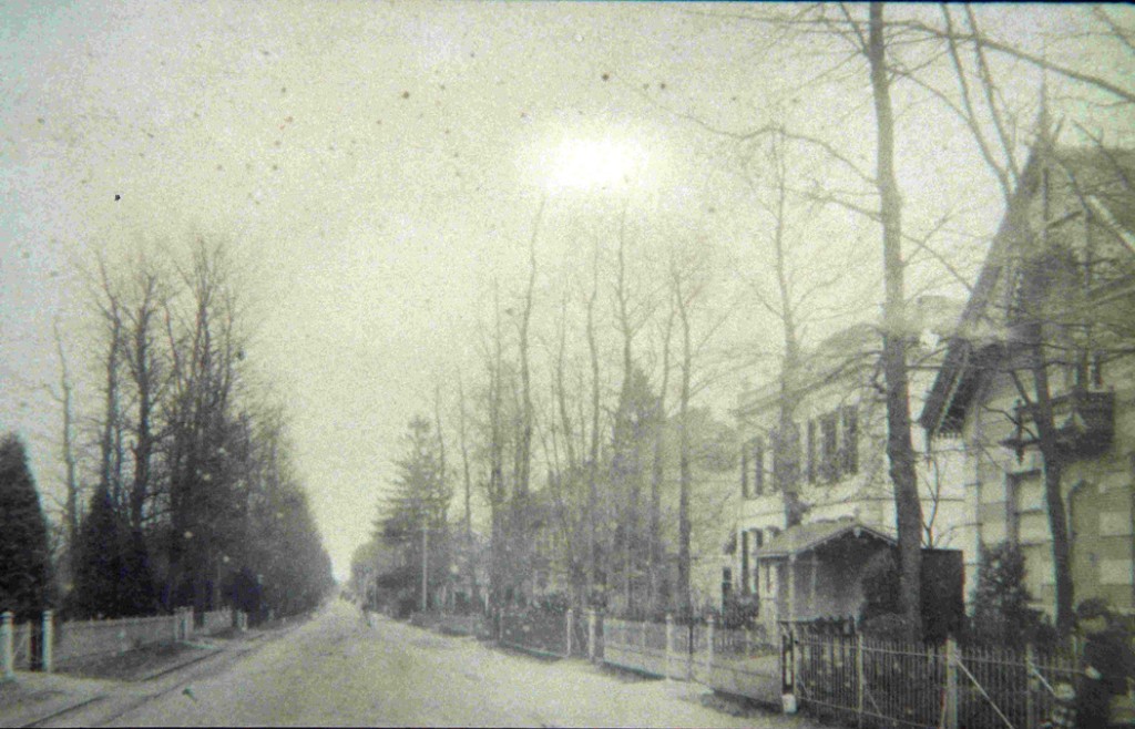Rechts het huis van de familie Amshoff met links ervan "Beuken Hove" en daarachter de ingang van de Annastraat met de twee villa's ter weerszijde.