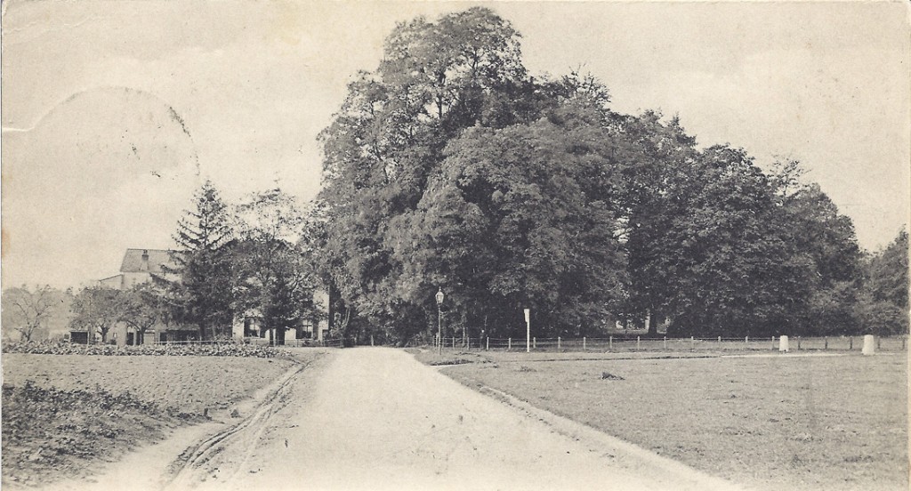 Een foto vanaf hetzelfde punt met een breder perspectief waardoor rechts de toegangspalen met het opschrift "Hemelsche Berg" zichtbaar zijn. Deze staan nog steeds op dezelfde plek.