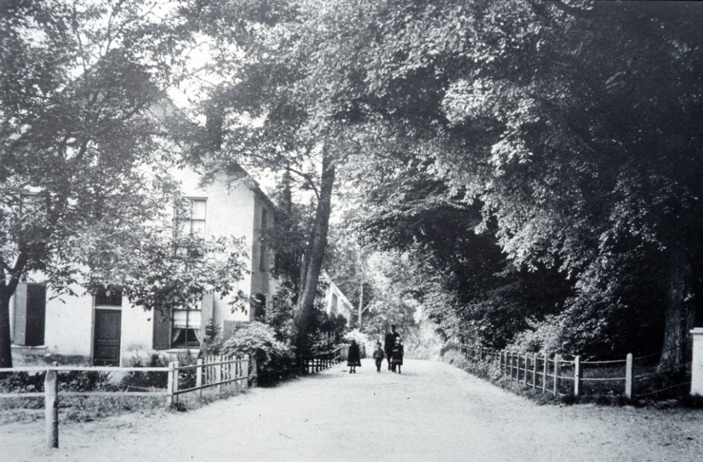 Links het huis van de huisschilder Hilhorst met daarachter een verdwenen boerderijtje en, op de achtergrond links, de voorgevel "van "de Witte Poort". Rechts de ingang van "Transvalia".