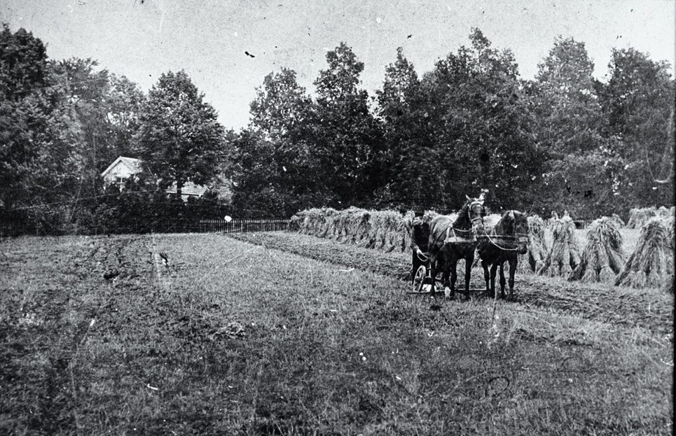 Tegenover "de Kastanjehof ligt het huis op nummer 197, gebouwd in 1850. Op deze foto ligt het aan het eind van de akke, achter bosschages. De boer met paard is Gerrit Hendrik van Veelen, koetsier en palfrenier bij de familie Wolterbeek (huis "Valkenburg". Zelfs de naam van het paard is bekend: Stella.
