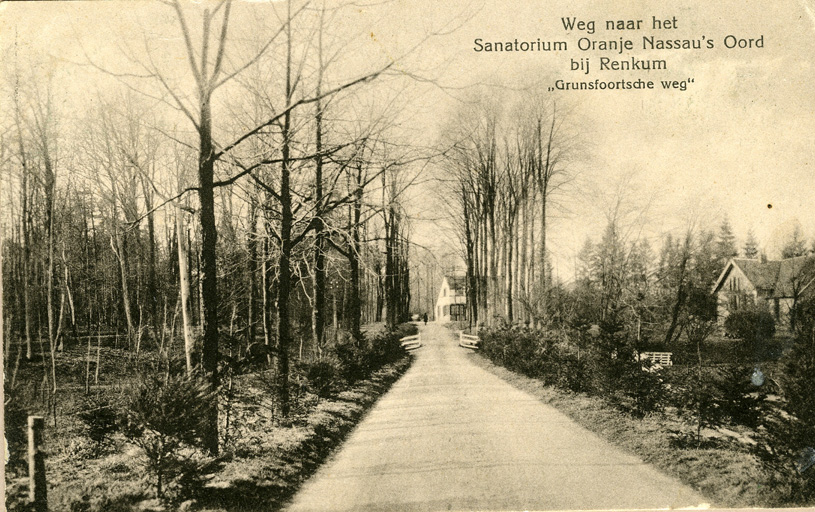 Wandelen we westwaarts over de Grunsfoortse Dijk dan zien we rechts de tuinmanswoning "de Plankjes" met, niet zichtbaar daarachter de ommuurde (moes) tuin.